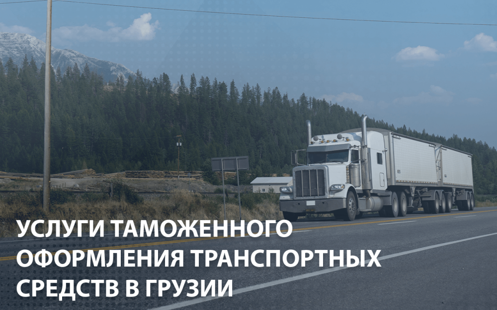 Услуги таможенного оформления транспортных средств(машин) в Грузии